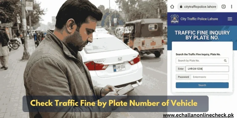 Traffic fine inquiry by number plate