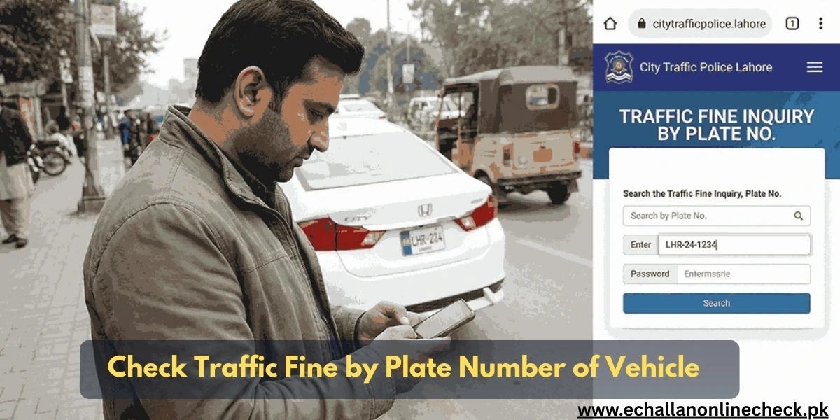 Traffic fine inquiry by number plate